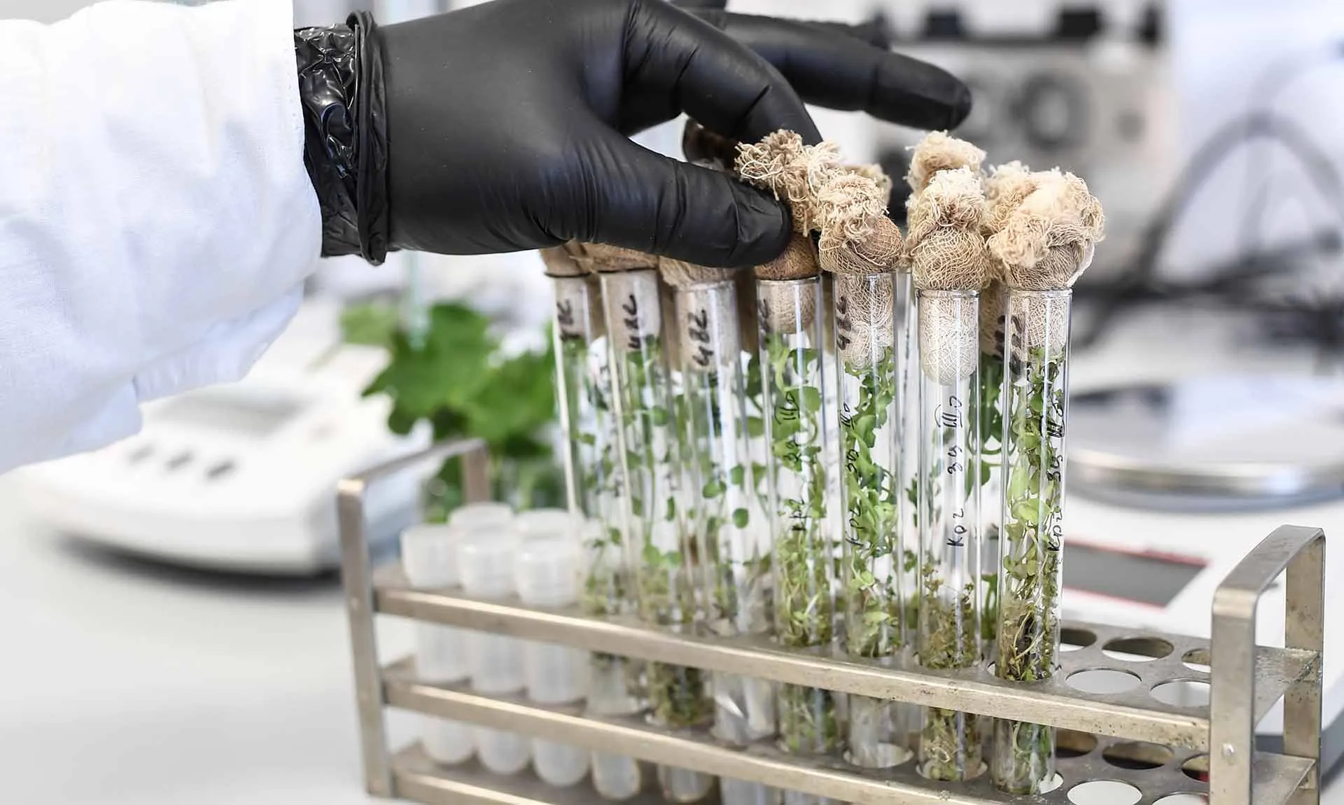 Константин Михальчевский/РИА Новости 