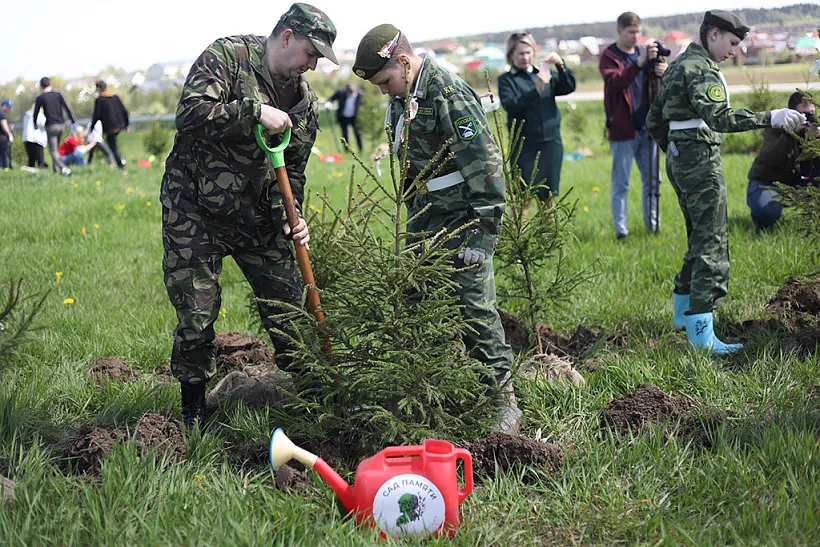 В&nbsp;Вологодской области высадят композицию из&nbsp;240&nbsp;елей