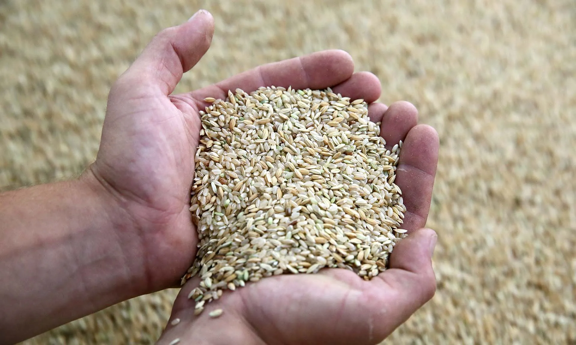 Дмитрий Феоктистов/ТАСС