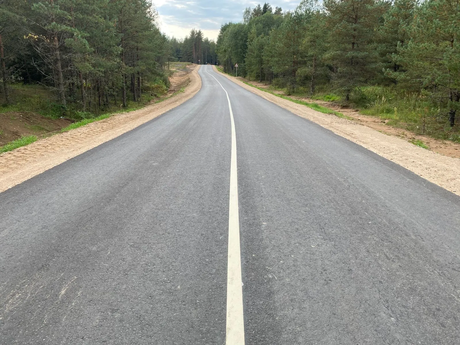 ГКУ "Дирекция ТДФ"