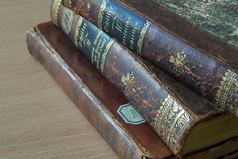 Книги из&nbsp;библиотеки императорского дома Романовых оцифруют на&nbsp;Урале