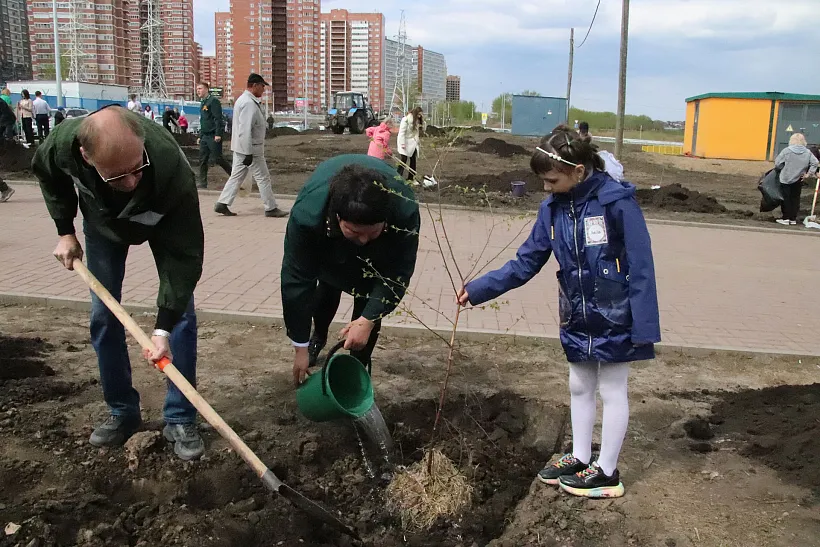 Школьники Красноярска приняли участие в&nbsp;акции &laquo;Сад памяти&raquo;