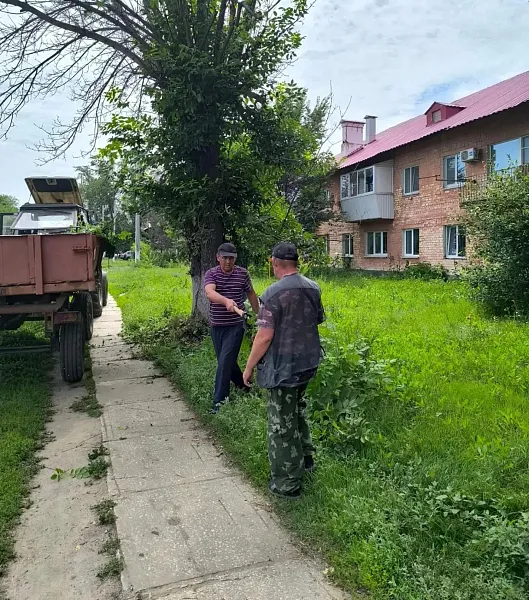 В&nbsp;Самарской области приступили к&nbsp;уходу за&nbsp;деревьями
