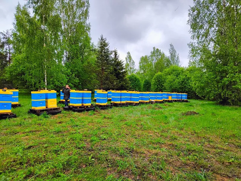 Фермеры из&nbsp;Карелии развивают свои хозяйства с&nbsp;помощью грантов &laquo;Агростартап&raquo;