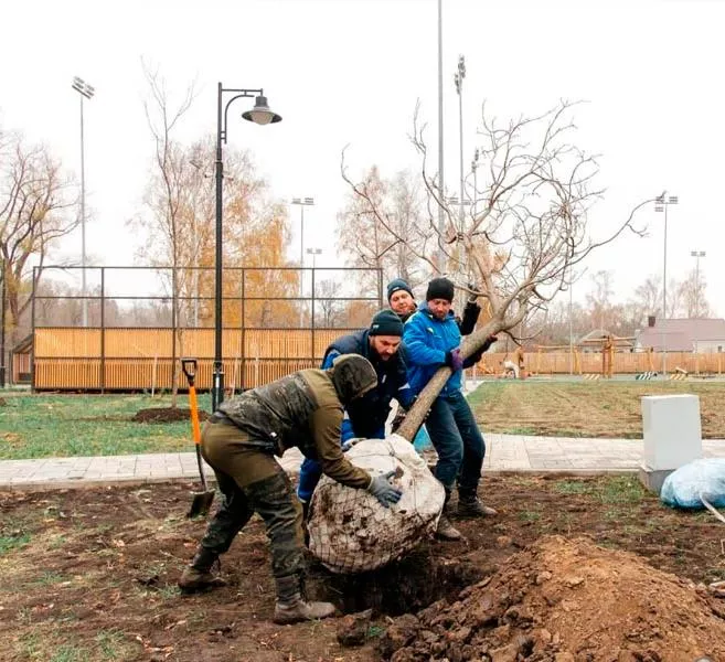 В&nbsp;Задонске Липецкой области высадили почти 200&nbsp;новых деревьев