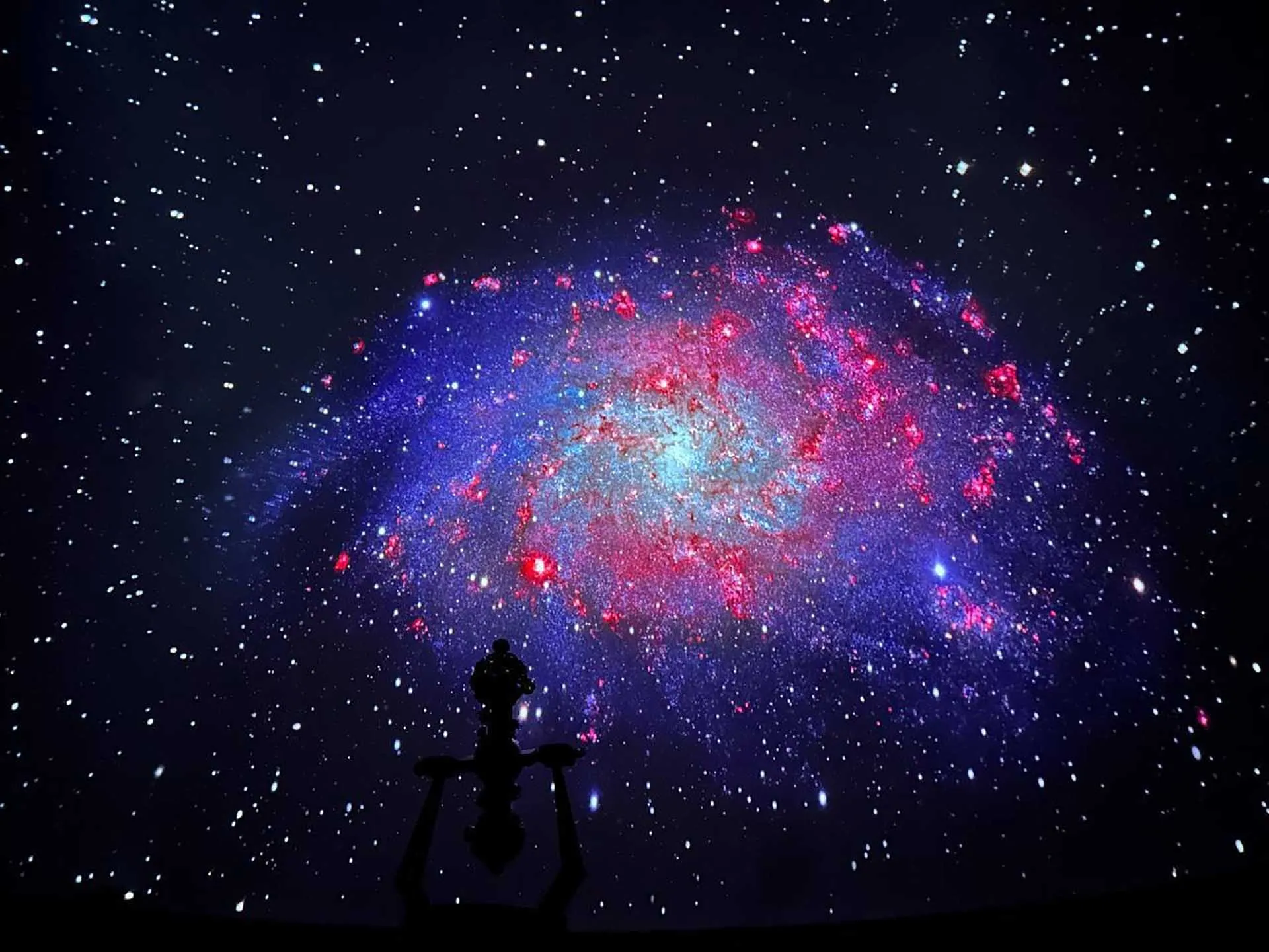 Министерство культуры Ярославской области