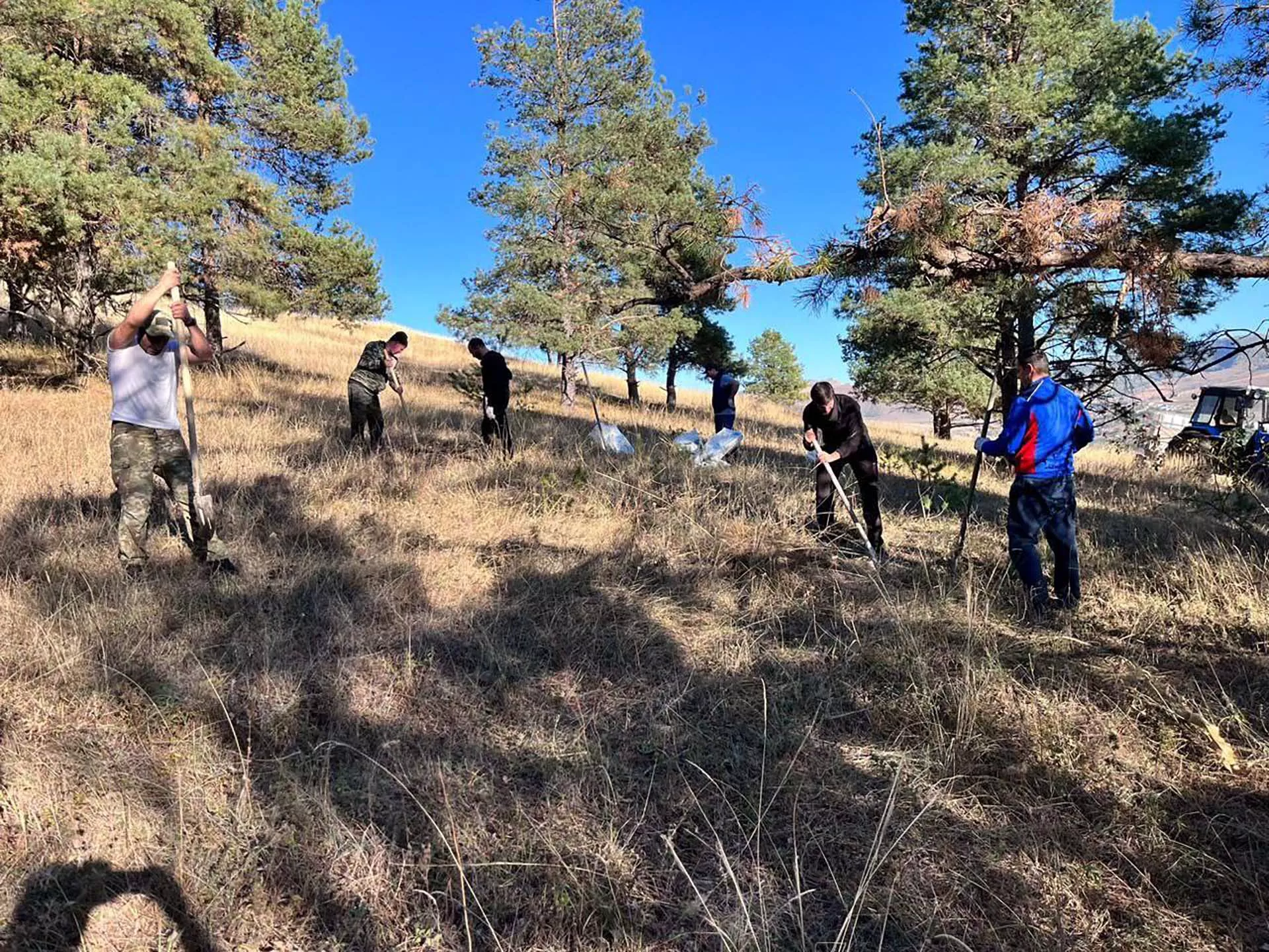 Более 26&nbsp;тысяч деревьев высадили в&nbsp;Карачаево-Черкесии благодаря экоакции
