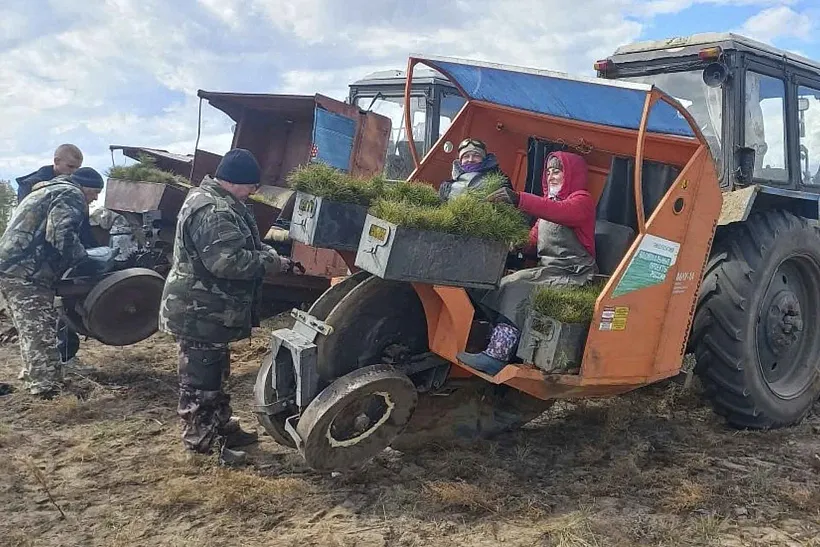 В&nbsp;Алтайском крае начались весенние посадки деревьев