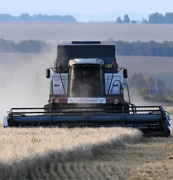 В&nbsp;Саратовской области закупили 175&nbsp;зерноуборочных комбайнов в&nbsp;2025&nbsp;году