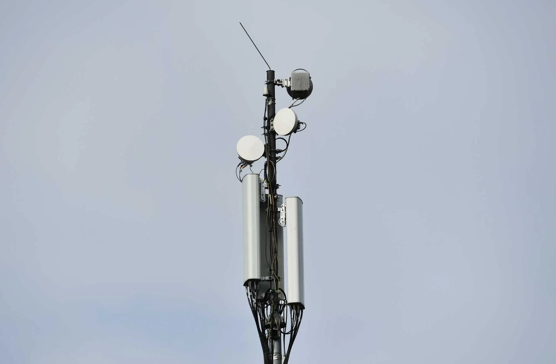 Михаил Воскресенский/РИА Новости