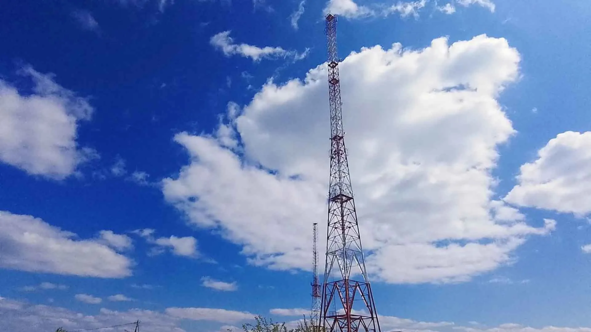 Фото предоставлено пресс-службой МТС