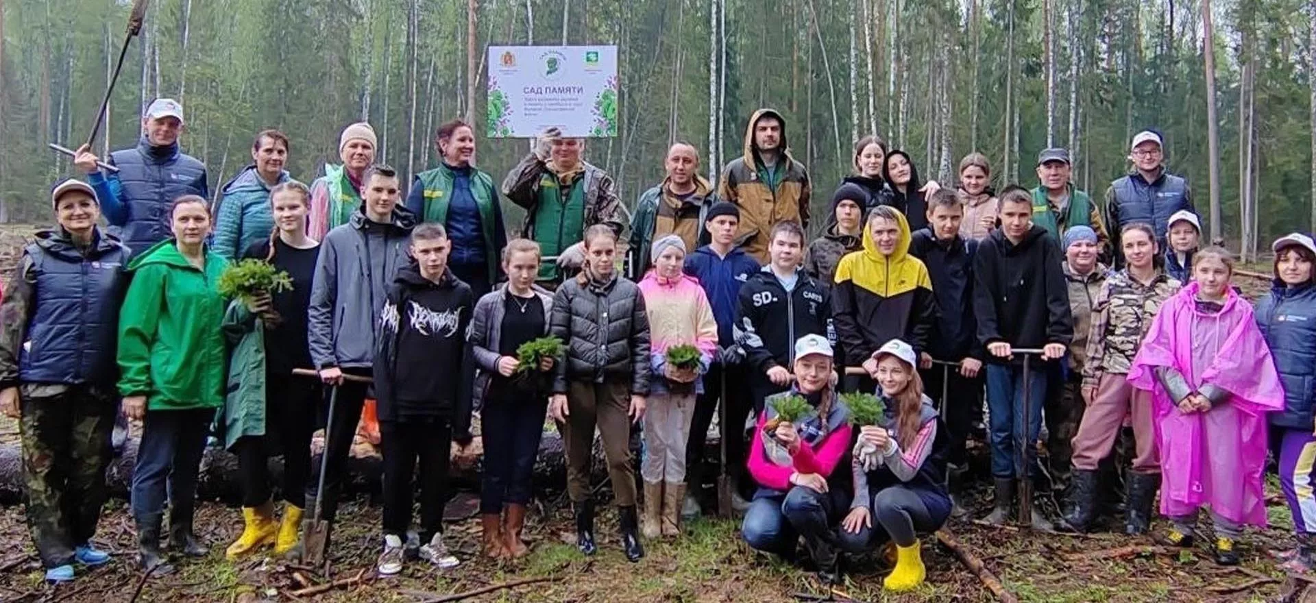 Министерство лесного хозяйства Владимирской области