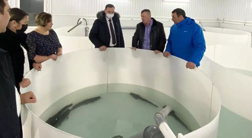 Администрация МР Караидельский район РБ