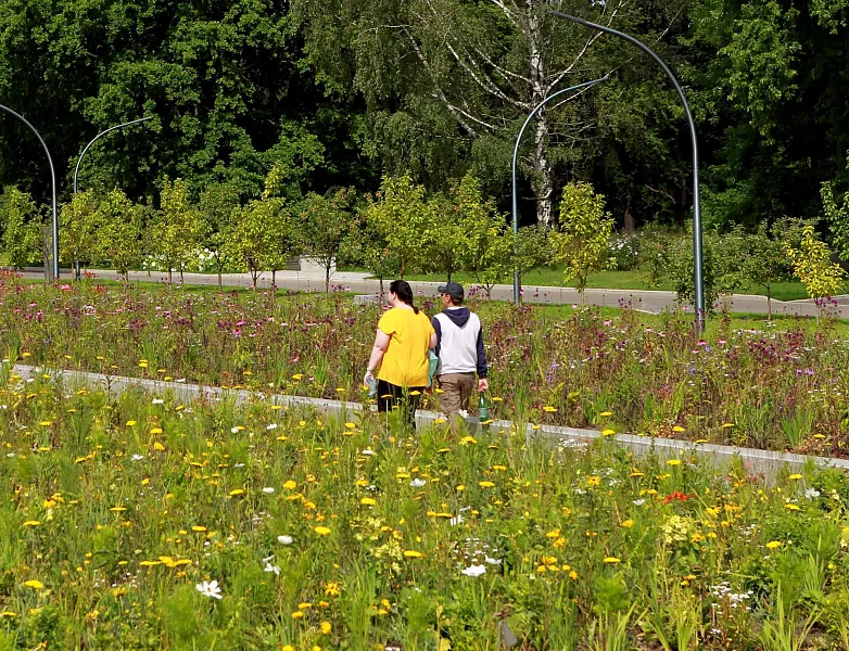 В&nbsp;городе Щучье Курганской области начнут обновление рекреационной зоны