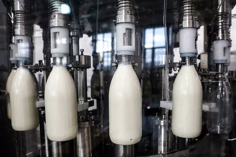 Вологодская область увеличила экспорт молочной продукции в&nbsp;1,7&nbsp;раза
