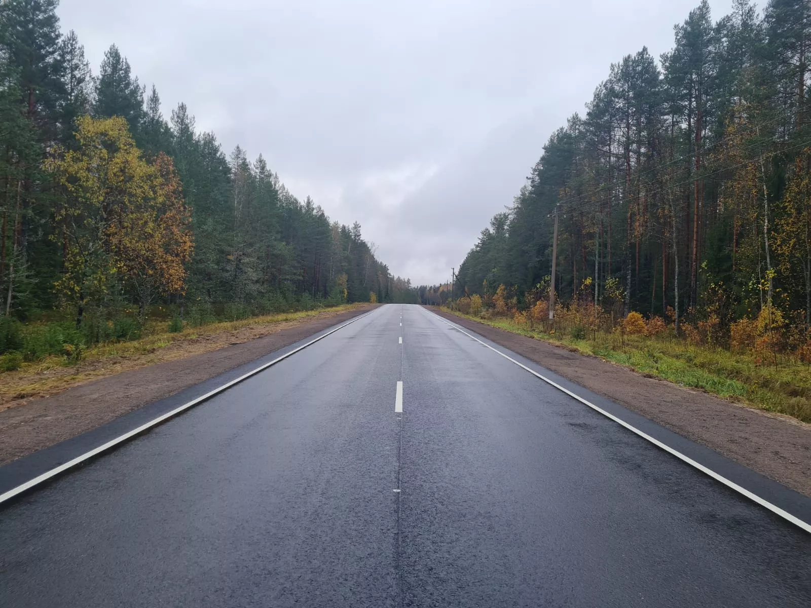 ГКУ "Дирекция ТДФ"