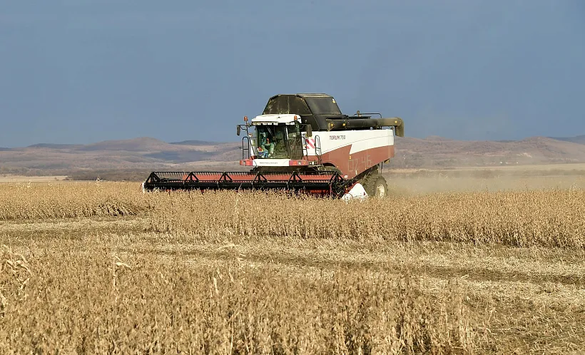 Амурская область экспортировала более 396&nbsp;тысяч тонн продукции АПК