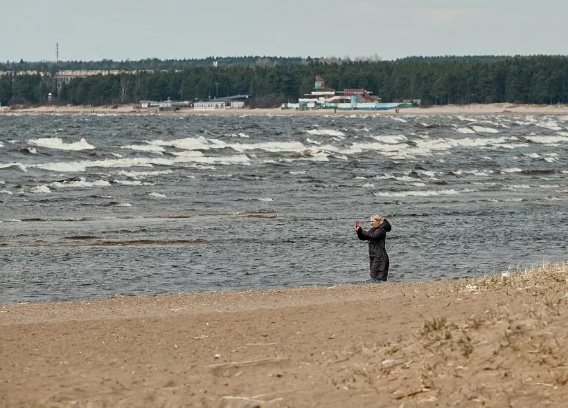 В&nbsp;Курортном районе Санкт-Петербурга началось благоустройство пляжа