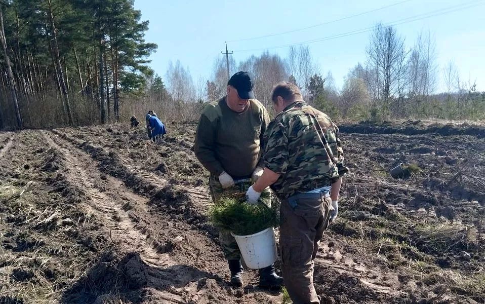 Управление лесами Орловской области