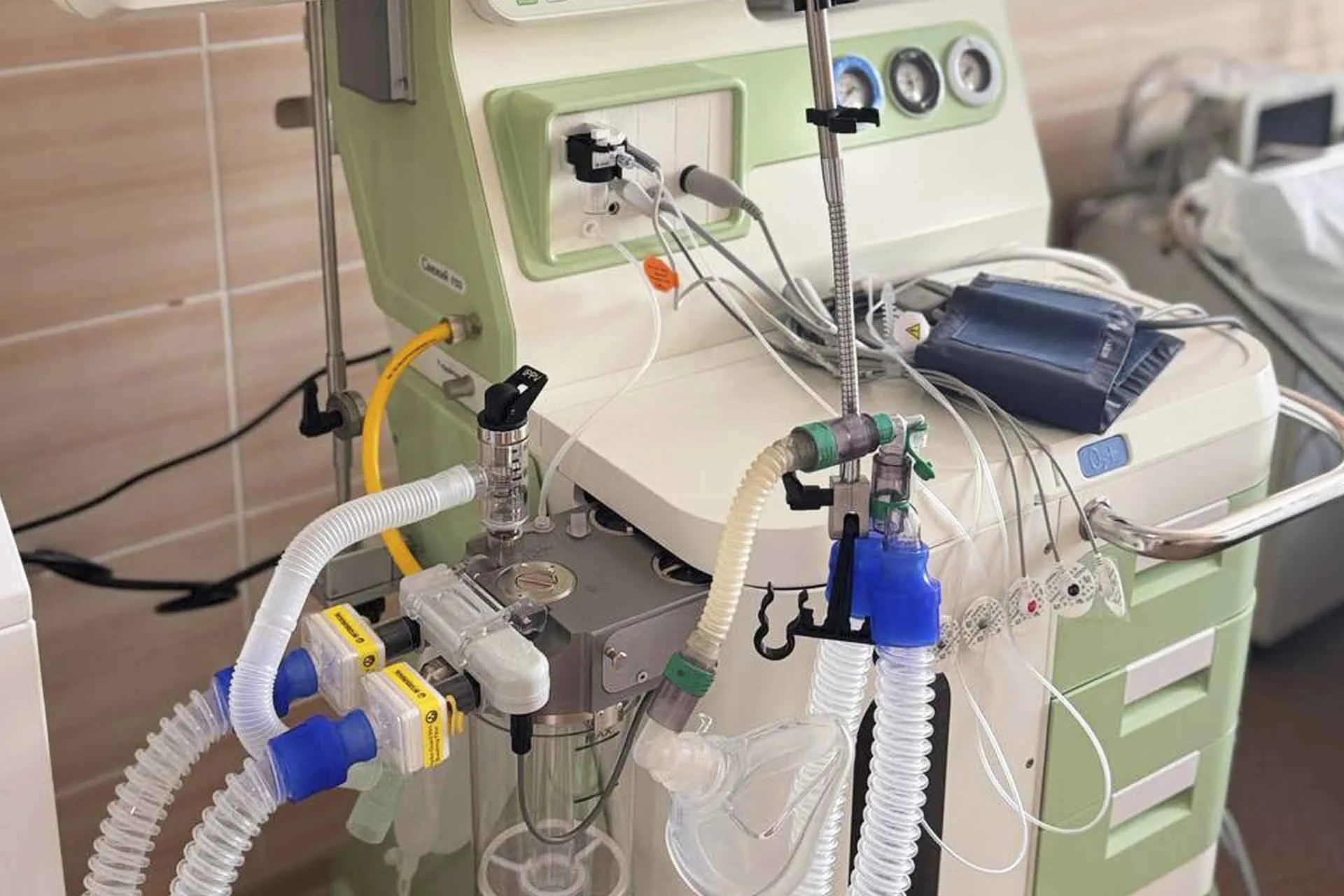 МКУ "Исполнительный комитет Кайбицкого муниципального района РТ"