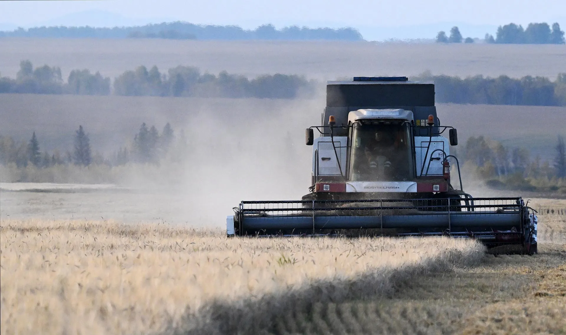 Илья Наймушин/РИА Новости