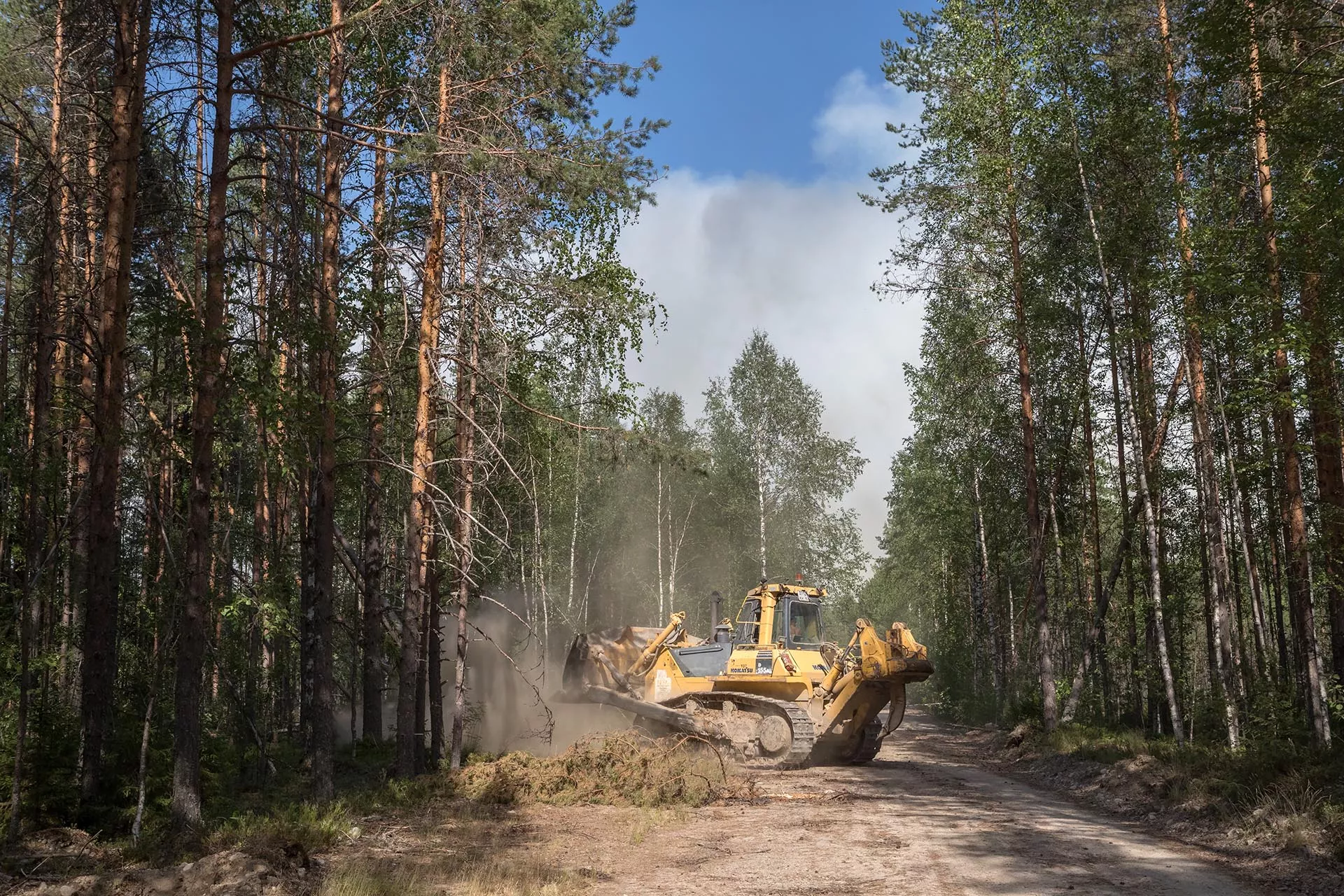 В&nbsp;лесхозы Амурской области поступило шесть единиц техники