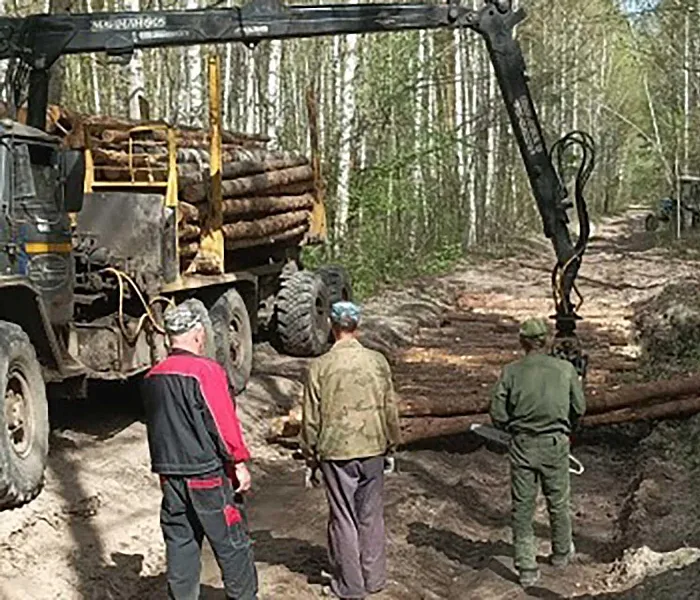 В&nbsp;Бондарском лесхозе Тамбовской области провели реконструкцию лесных дорог