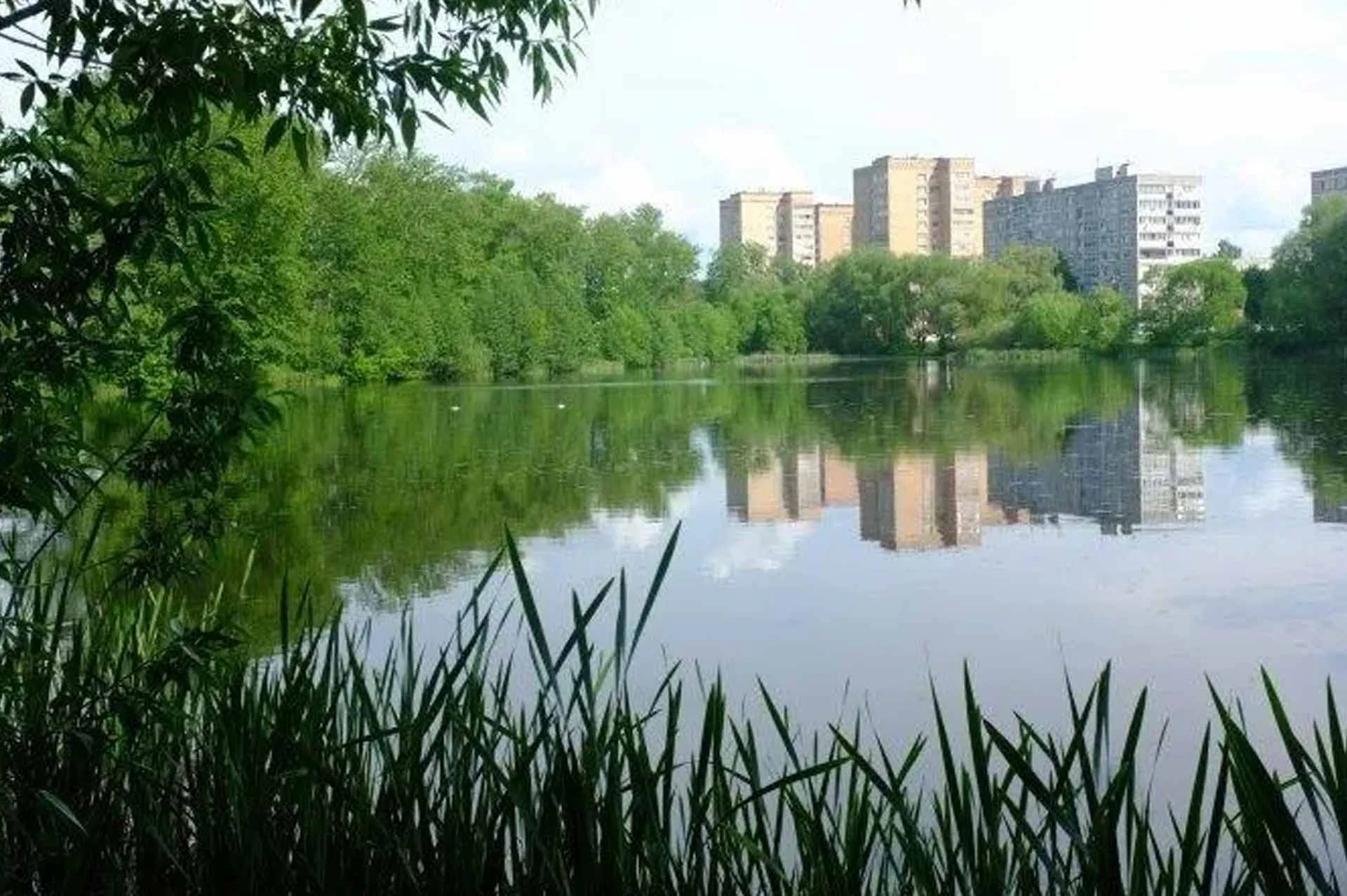 Министерство информации и молодежной политики Московской области