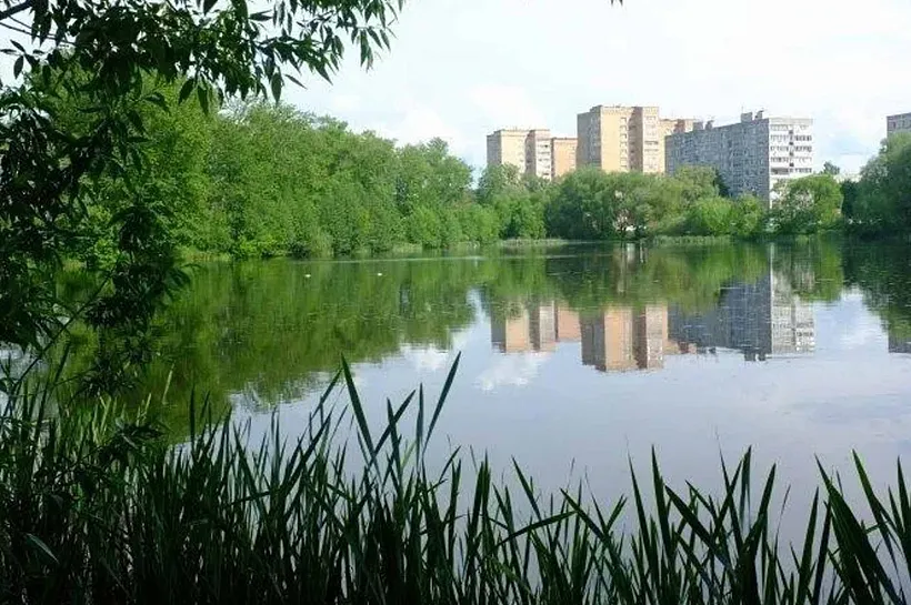 В&nbsp;подмосковном Воскресенске пройдет субботник по&nbsp;очистке берега Москвы-реки