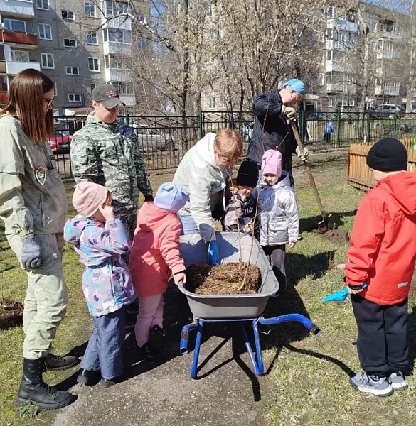 В&nbsp;Красноярском крае высадят около 20&nbsp;тысяч деревьев и&nbsp;кустарников