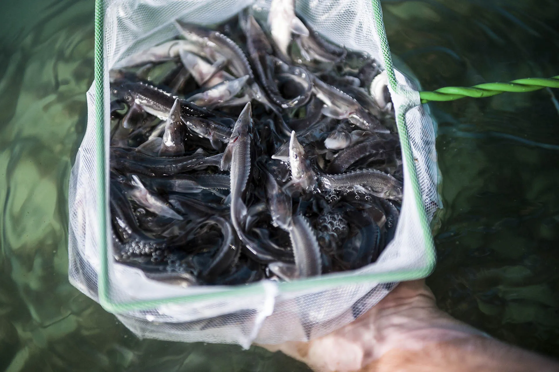 Алексей Мальгавко/РИА Новости