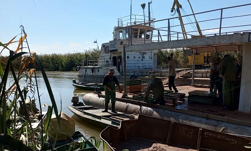 Служба занятости Астраханской области помогла с&nbsp;трудоустройством рыбакам