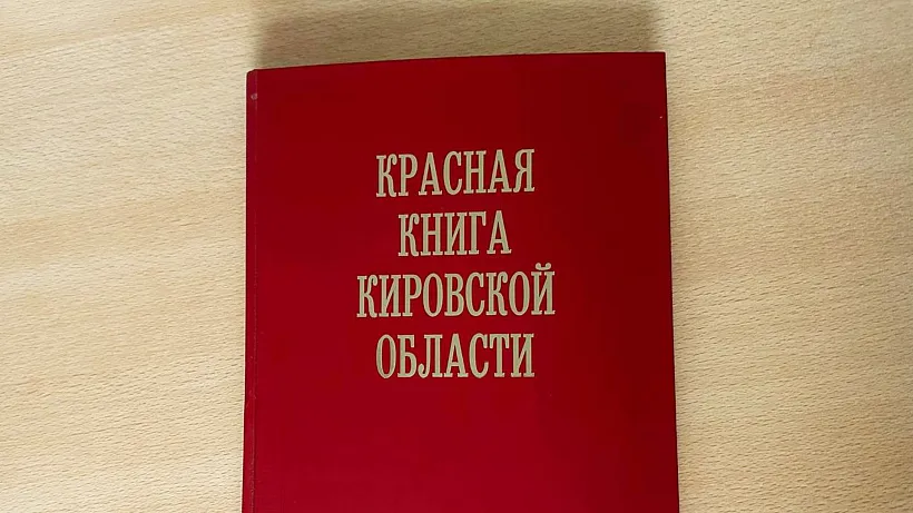 В&nbsp;2025&nbsp;году обновят Красную книгу Кировской области