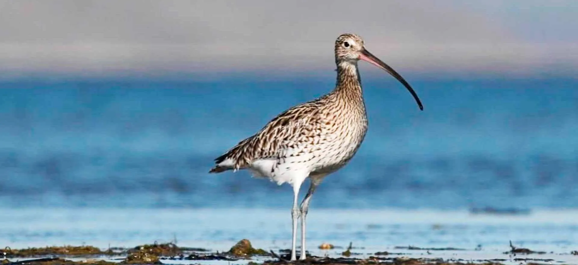 Министерство природных ресурсов Краснодарского края