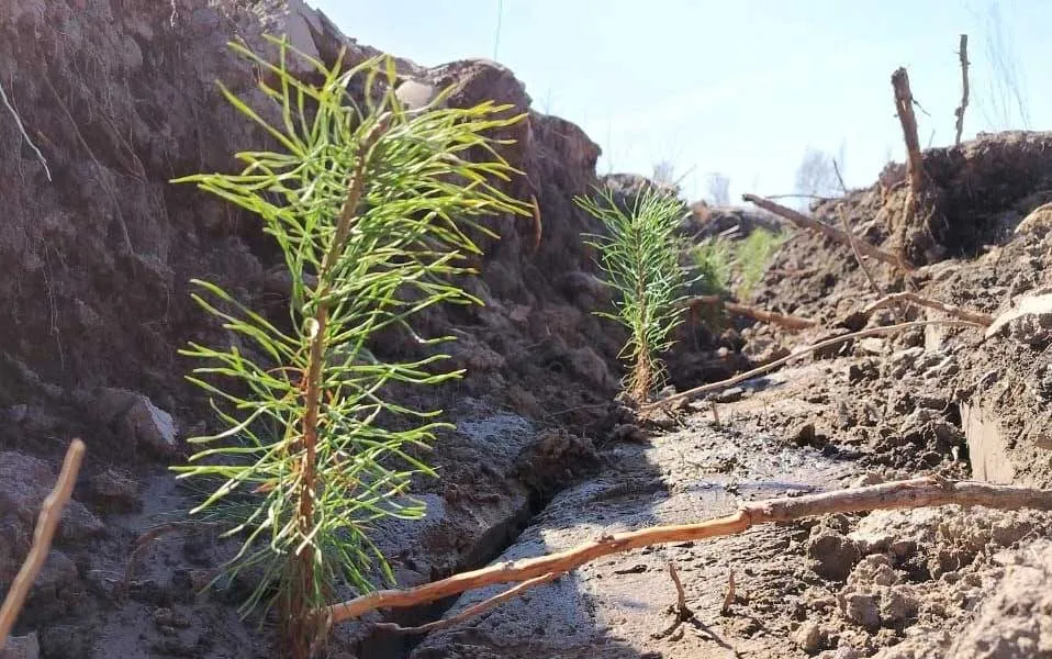 Министерство природных ресурсов и экологии Алтайского края