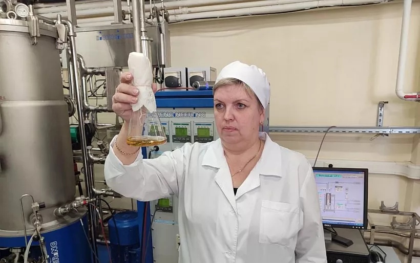 Новосибирские ученые придумали, как&nbsp;повысить эффективность животноводства