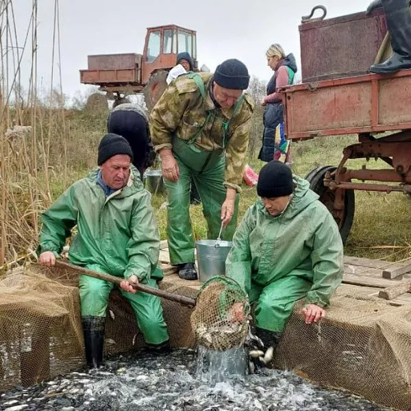 Более 600&nbsp;тысяч сазанов выпустили в&nbsp;реку Кизань в&nbsp;Астраханской области