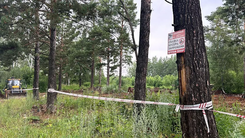В&nbsp;поселке Октябрьском Челябинской области расчистили свалку