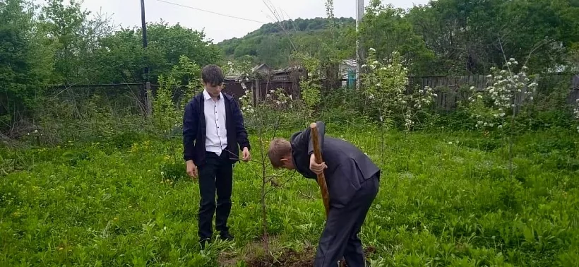 Лесничество школы села Курджиново в&nbsp;Карачаево-Черкесии создало &laquo;Сад памяти&raquo;