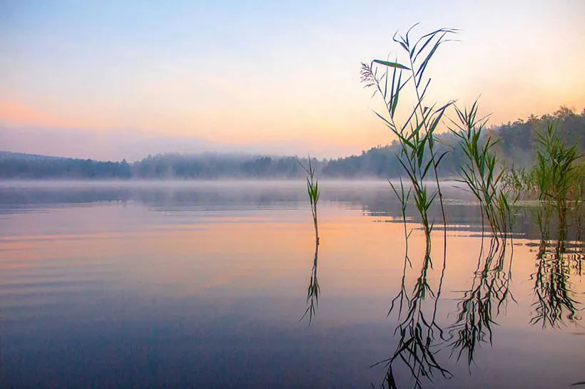 В&nbsp;Свердловской области ликвидируют 25&nbsp;свалок