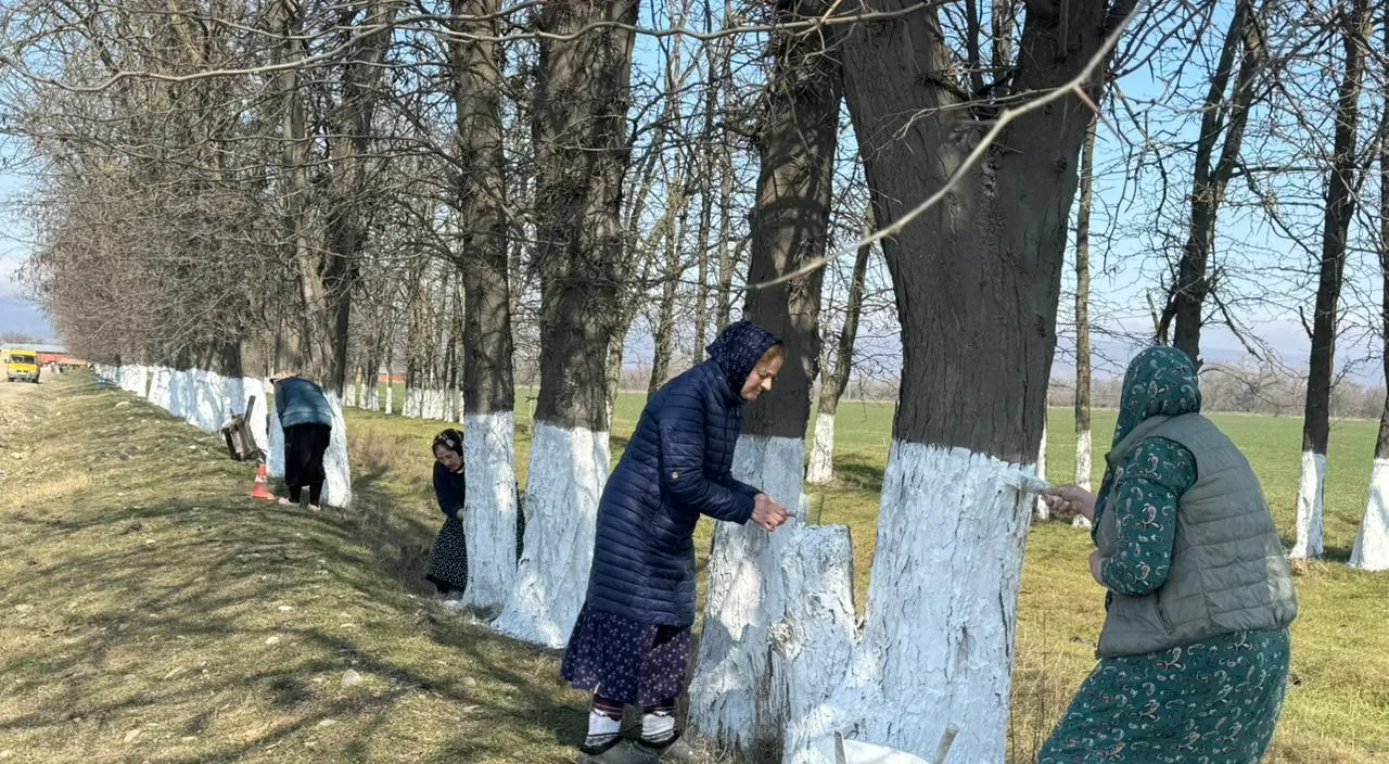 Администрация Серноводского муниципального района