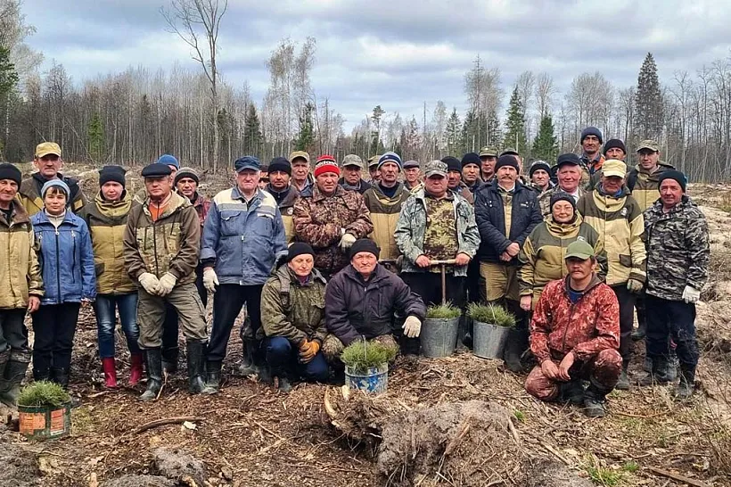 В&nbsp;пяти районах Чувашии в&nbsp;ходе акции &laquo;Сад памяти&raquo; посадили 45&nbsp;тыс. деревьев