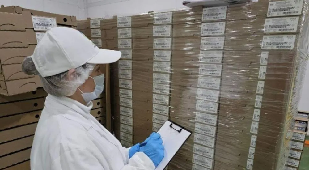 Министерство экономического развития Курской области