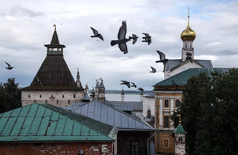 Более 5&nbsp;тыс. человек в&nbsp;Ростовской области воспользовались Пушкинской картой