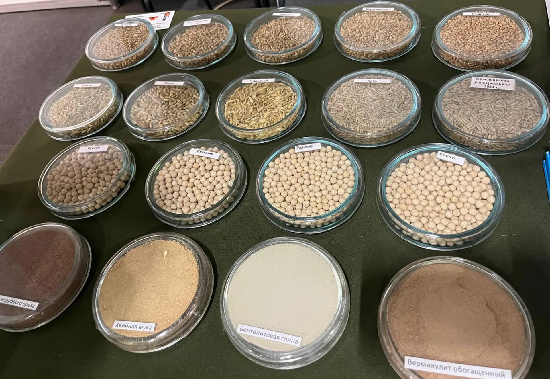 ФИЦ "Красноярский научный центр СО РАН"