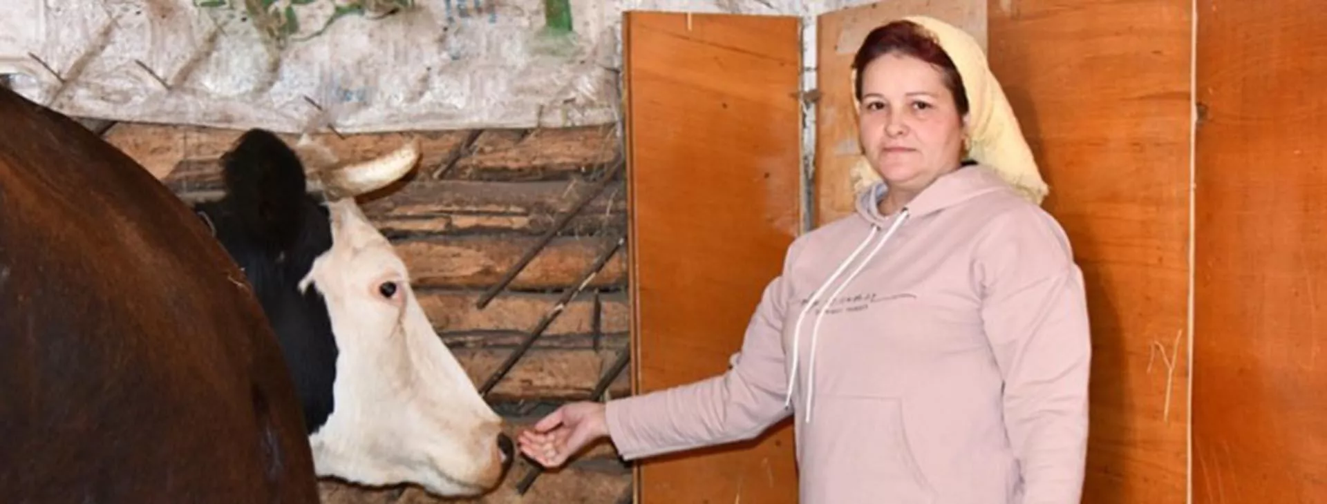 Администрация МО Чернянский район