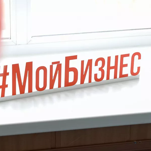 Для&nbsp;бизнеса Ненецкого автономного округа снизили ставки по&nbsp;микрозаймам