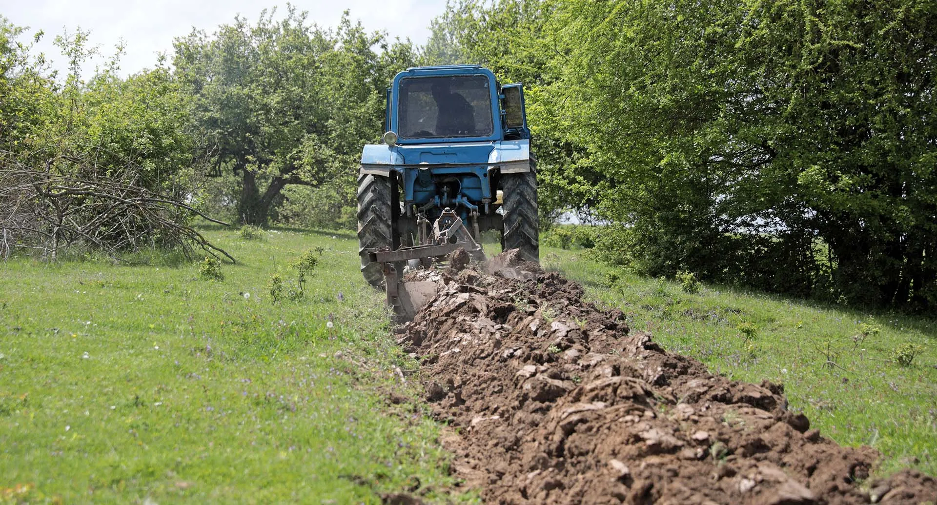 Елена Афонина/ТАСС
