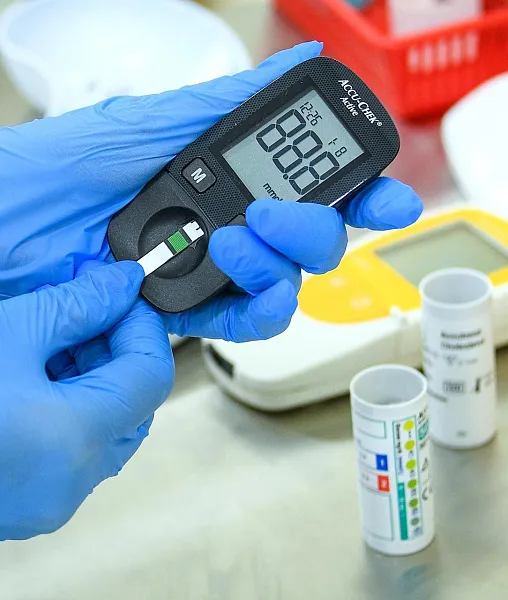 Во&nbsp;Владимире открылась школа сахарного диабета для&nbsp;беременных