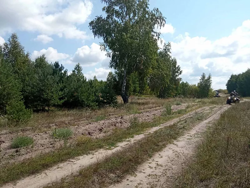 В&nbsp;Саратовской области создали и&nbsp;обновили 15&nbsp;тыс. км минерализованных полос
